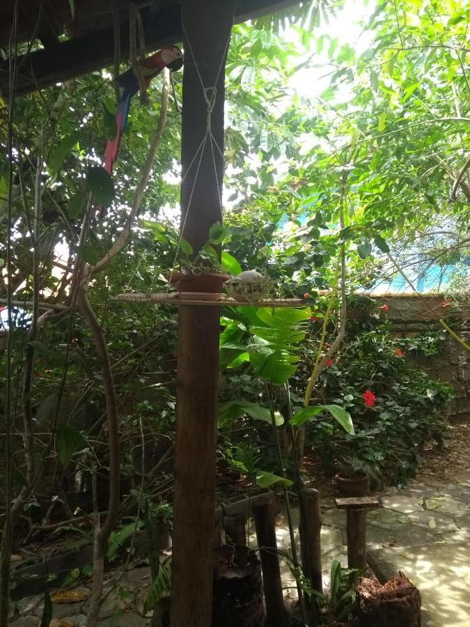 Pousada Recanto Devas Cabo Frio Eksteriør bilde